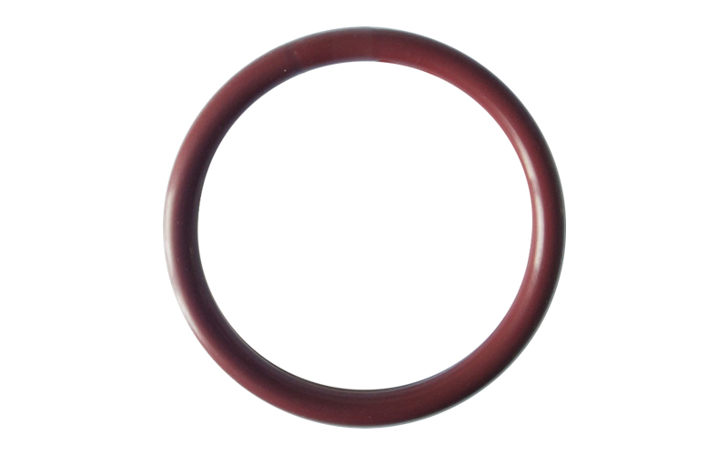 Encapsulated PTFE Coated O Ring.jpg