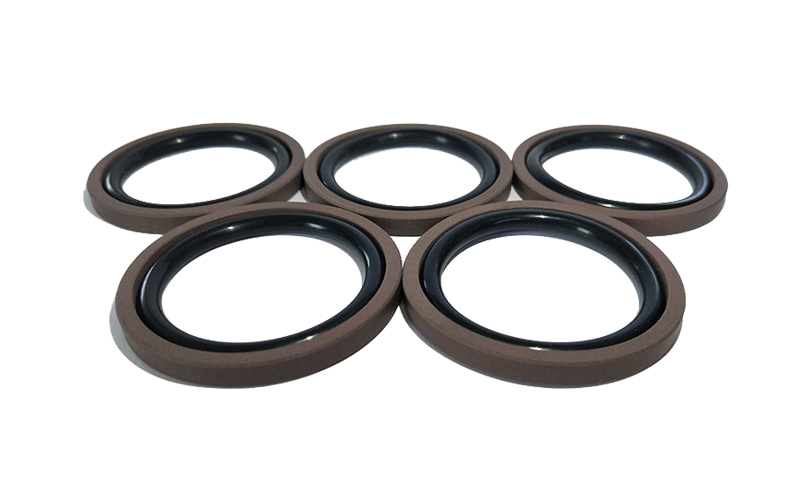 Glyd Ring Piston GSF Seal
.jpg