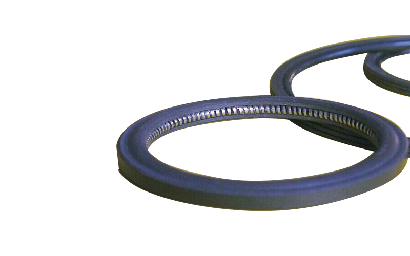 Spring Energized PTC Seal
.jpg