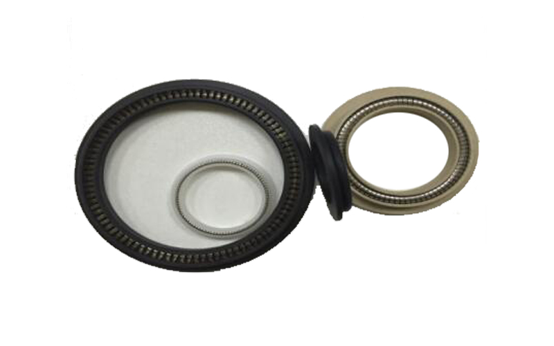 Spring Energized PTW Seal
.jpg