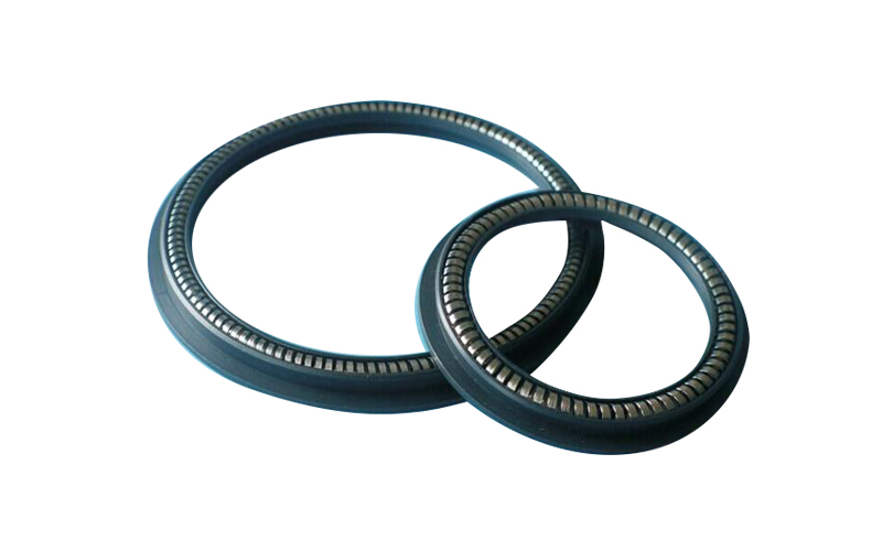 Spring Energized PTW Seal
.jpg