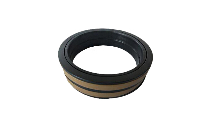 PTFE Bronze Filled Guide Ring .jpg