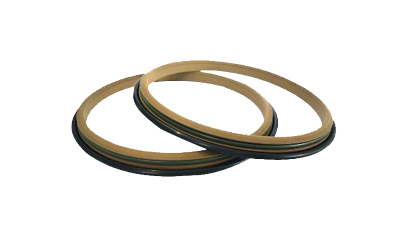 Low friction ptfe bronze PT2 wiper seal
.jpg