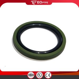 Gely Ring Piston GSF Seals