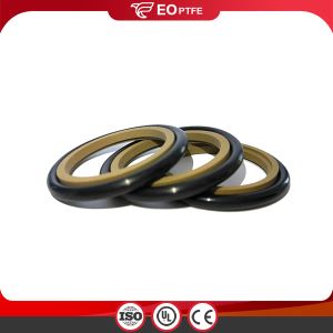 Hydraulic Cylinder Piston Rod GSJ Seal