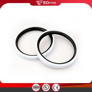 NBR FKM Piston Seal