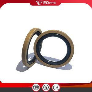 PTFE Bronze Piston GSF Seal