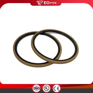 PTFE Spring Energized Rotating Seal