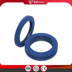 Spring Energized PTC Seal