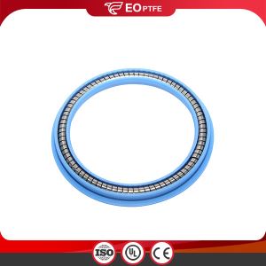 Spring Energized PTW Seal